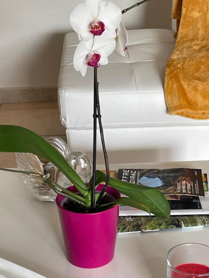 Le Lotois Les Ondines Apartment Souillac Ngoại thất bức ảnh