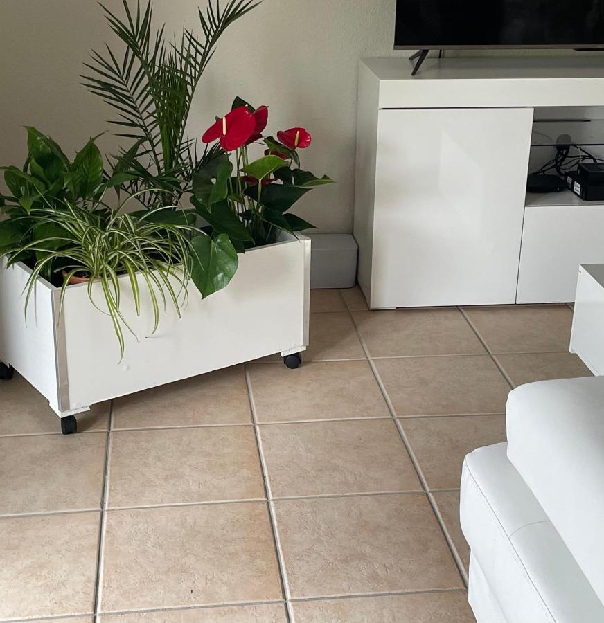 Le Lotois Les Ondines Apartment Souillac Ngoại thất bức ảnh